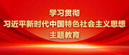 爆操小美女大逼逼逼逼逼视频学习贯彻习近平新时代中国特色社会主义思想主题教育_fororder_ad-371X160(2)